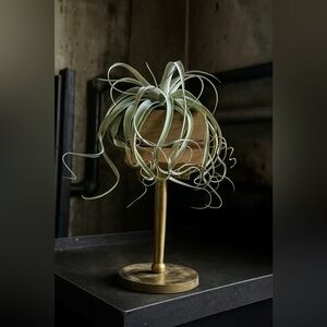 Industrial Decorative Wood and Metal Plant / Candle Holder with Air Plant